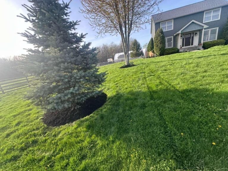 Lawn care service in Buffalo, NY by 716 Lawn Care