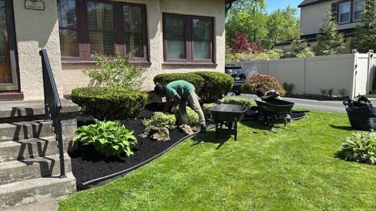 Lawn care service by 716 Lawn Care in Buffalo, NY