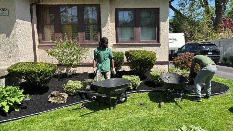 Lawn care service by 716 Lawn Care in Buffalo, NY
