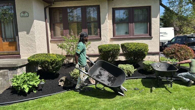 Lawn care service by 716 Lawn Care in Buffalo, NY