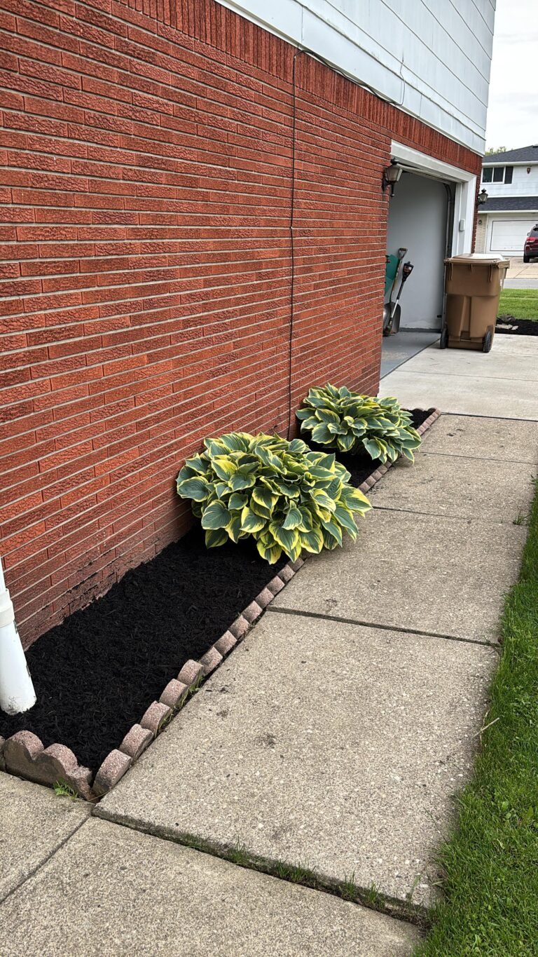 Garden bed maintenance in Buffalo, NY by 716 Lawn Care