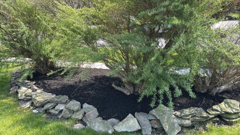 Mulching service in Buffalo, NY by 716 Lawn Care