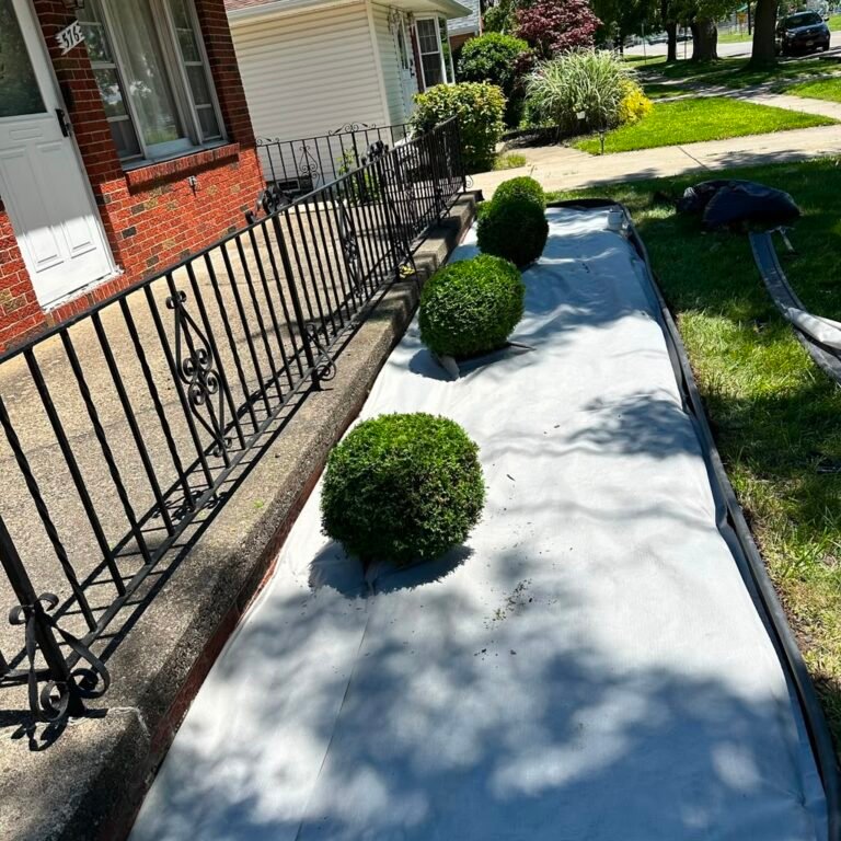 Bush shaping by 716 Lawn Care in Buffalo, NY