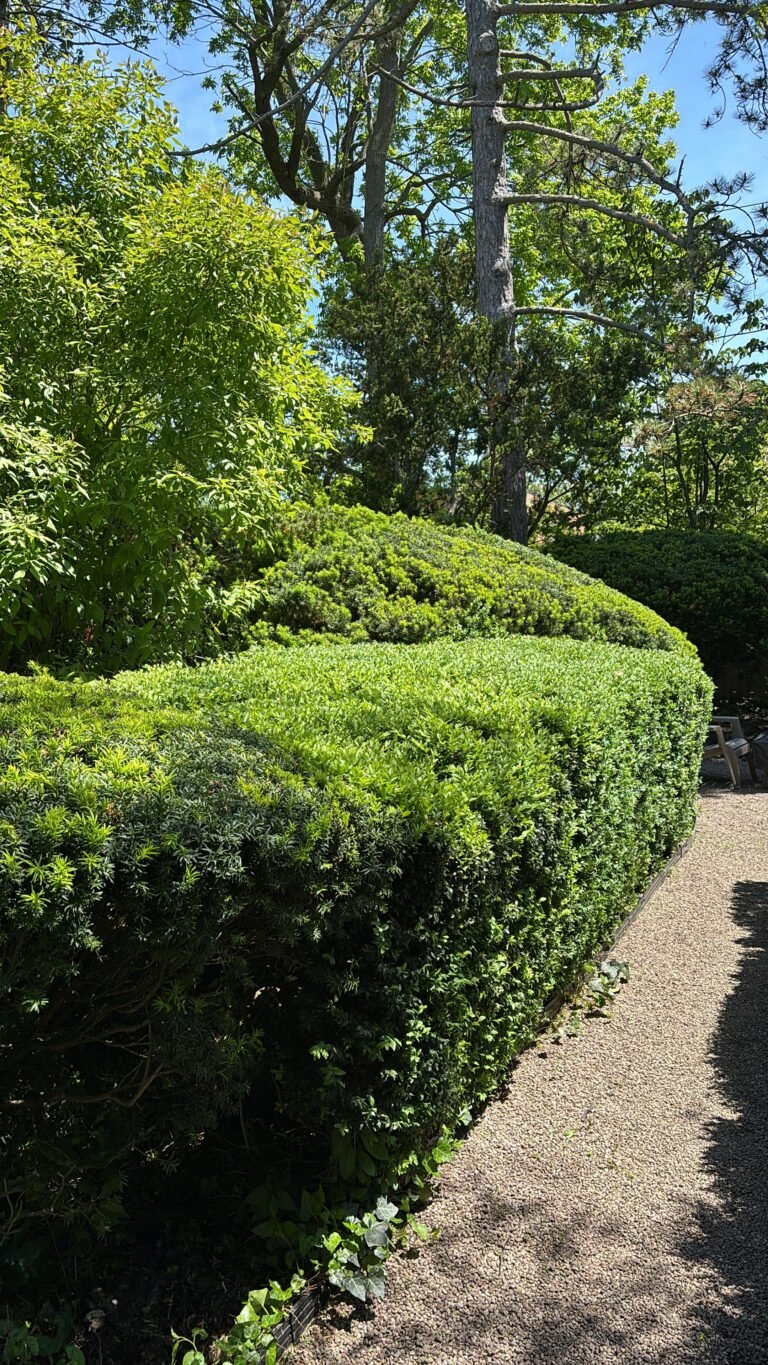 Bush trimming by 716 Lawn Care in Buffalo, NY