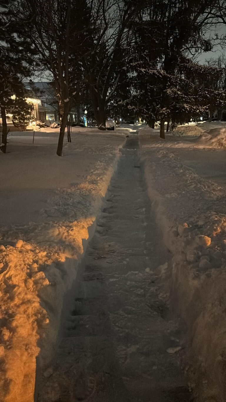 Sidewalk snow shoveling in Buffalo, NY by 716 Lawn Care