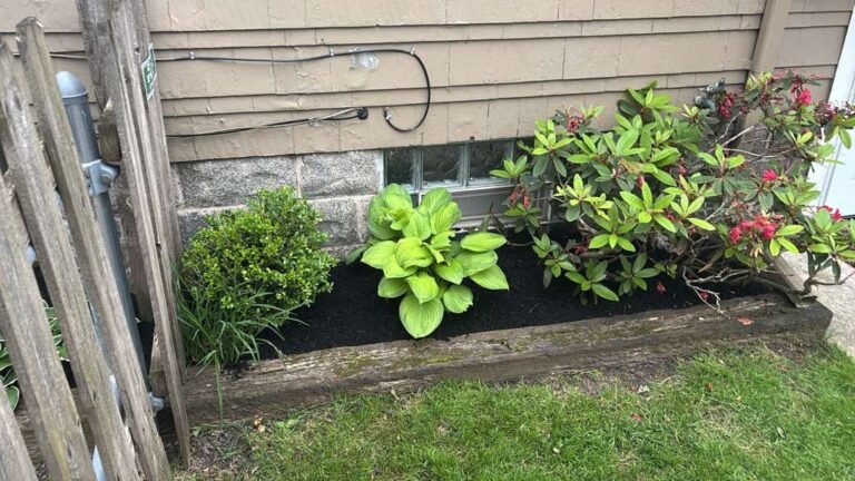 716 Lawn Care landscaping project in Lockport, NY