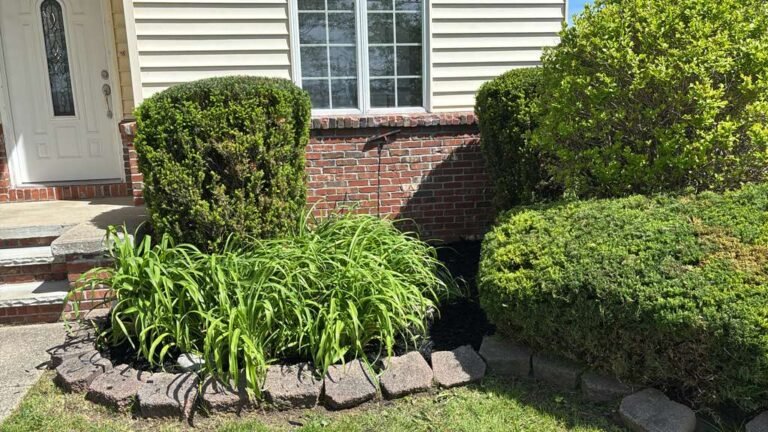 Professional landscaper in Buffalo, NY by 716 Lawn Care