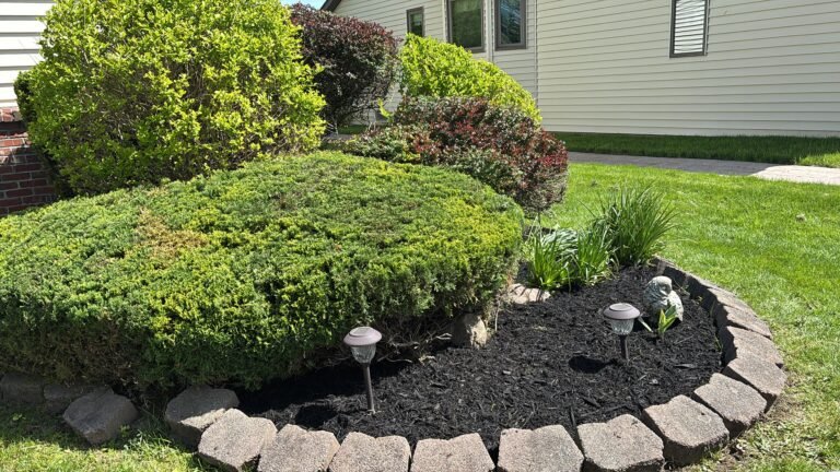 Professional landscaper in Buffalo, NY by 716 Lawn Care