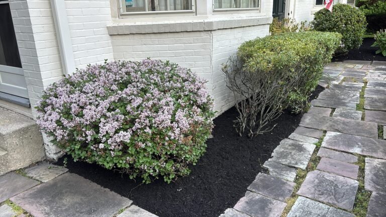 Landscaping in Amherst, NY by 716 Lawn Care