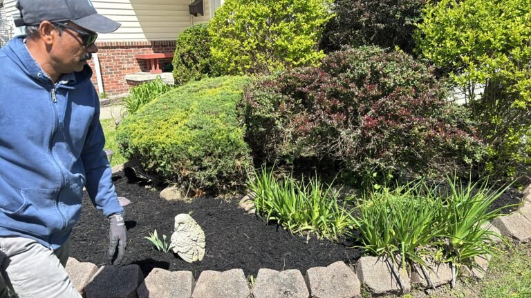 Landscaping in Buffalo, NY by 716 Lawn Care