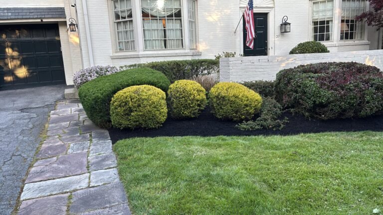 Landscaping in Amherst, NY by 716 Lawn Care