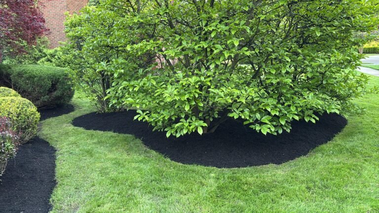 Landscaping in Hamburg, NY by 716 Lawn Care
