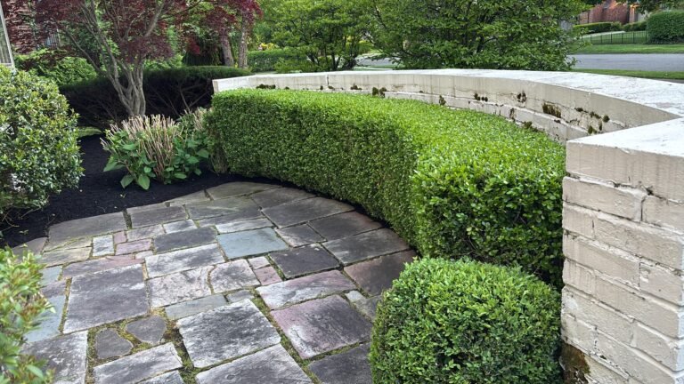 Landscaping in Kenmore, NY by 716 Lawn Care
