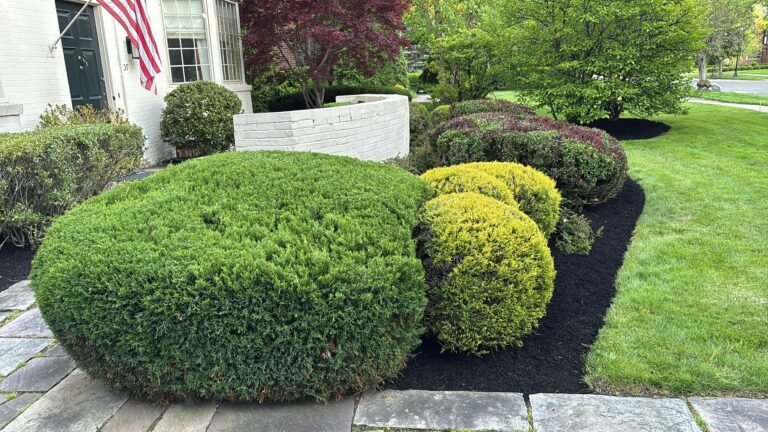 Landscaping in Orchard Park, NY by 716 Lawn Care