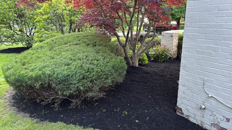 Landscaping in Williamsville, NY by 716 Lawn Care