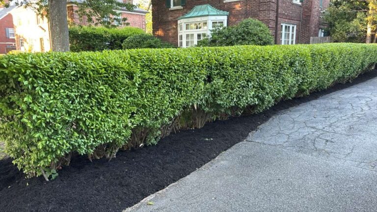 Landscaping project in Buffalo, NY by 716 Lawn Care