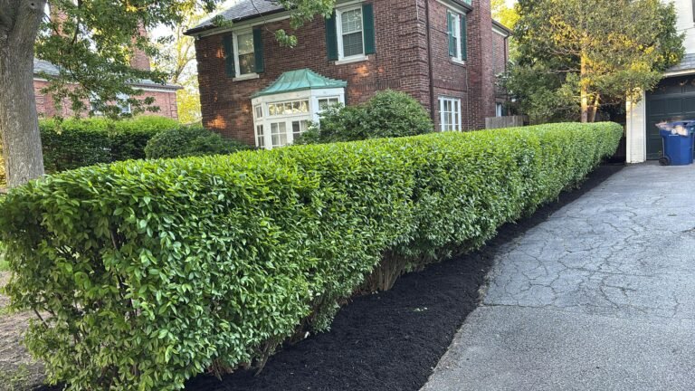 Landscaping project in Cheektowaga, NY by 716 Lawn Care