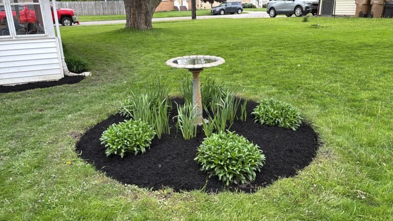 Lawn care service in Buffalo, NY by 716 Lawn Care