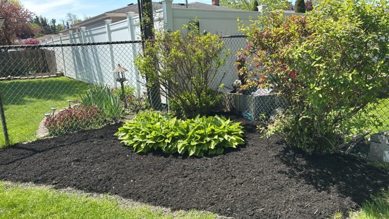 Mulch bed maintenance in Buffalo, NY by 716 Lawn Care