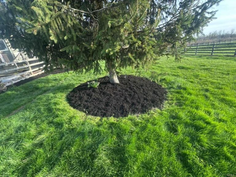 Mulching and natural edging by 716 Lawn Care in Buffalo, NY