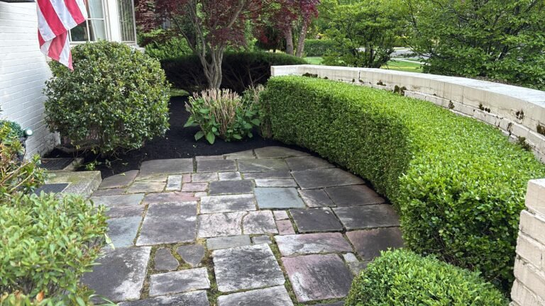 Professional landscaper in North Tonawanda, NY by 716 Lawn Care