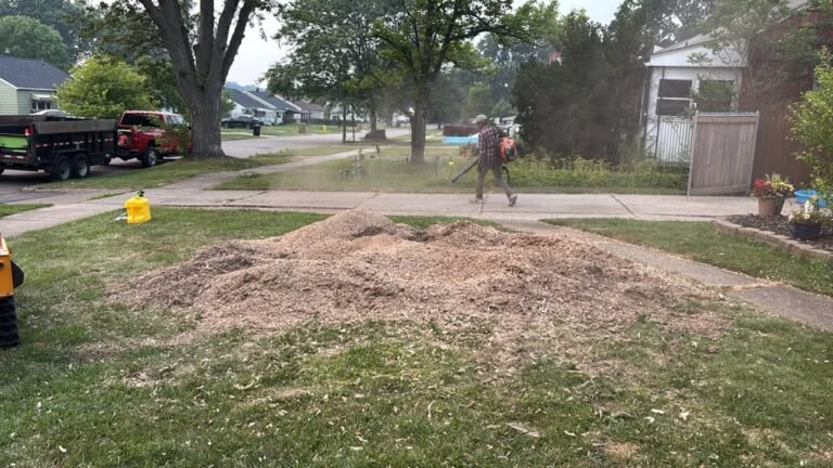 Stump grinding by 716 Lawn Care in Buffalo, NY