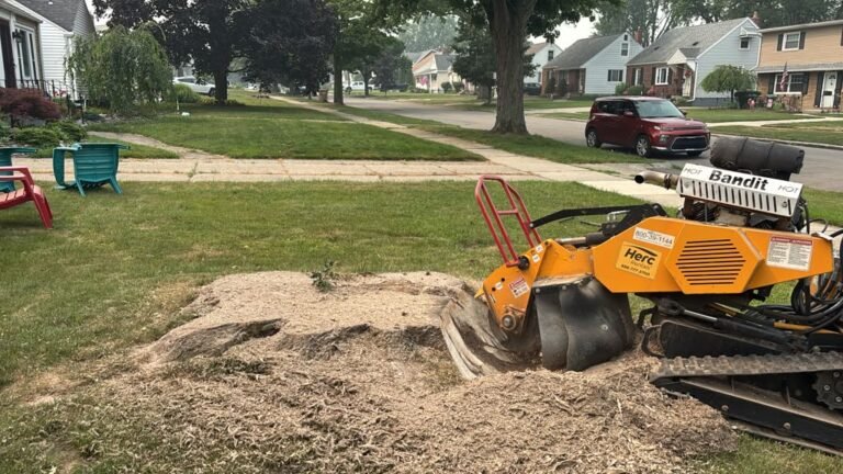 Stump grinding in Buffalo, NY by 716 Lawn Care