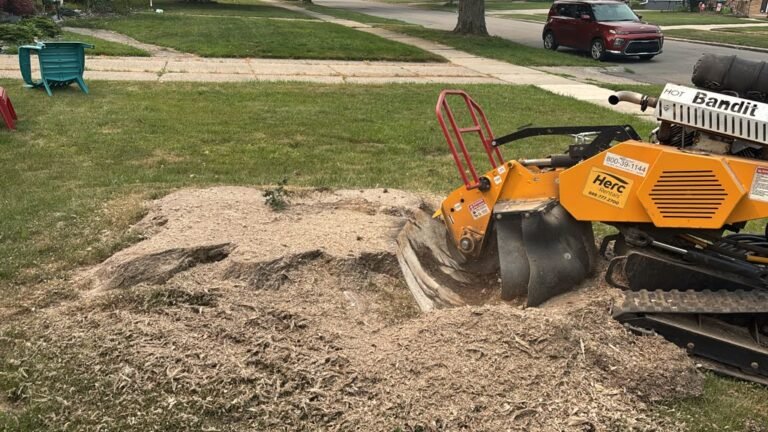 Stump grinding in Buffalo, NY by 716 Lawn Care