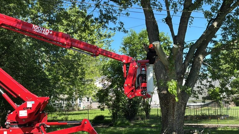 Tree removal in Buffalo, NY by 716 Lawn Care