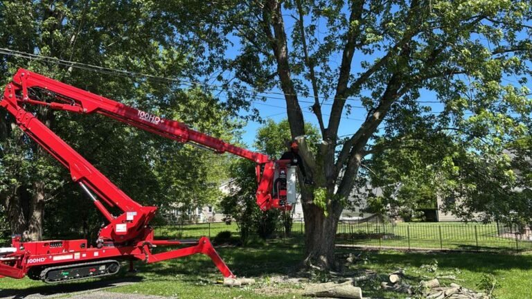 Tree service in Buffalo, NY by 716 Lawn Care