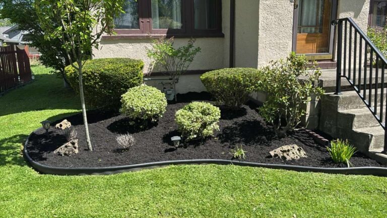 Weeding, mulching, and edging by 716 Lawn Care in Buffalo, NY