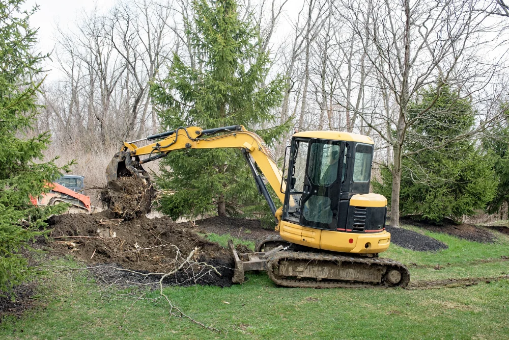 landscaping design Clarence Center